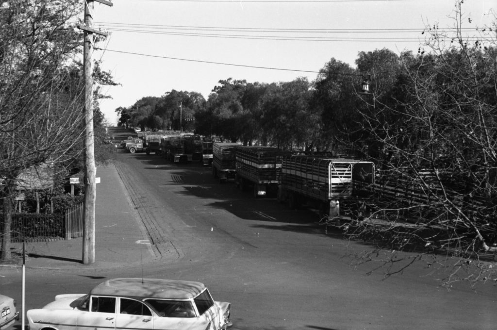 35A-65b Image showing cattle trucks near the corner of Bellair Street and Market Street