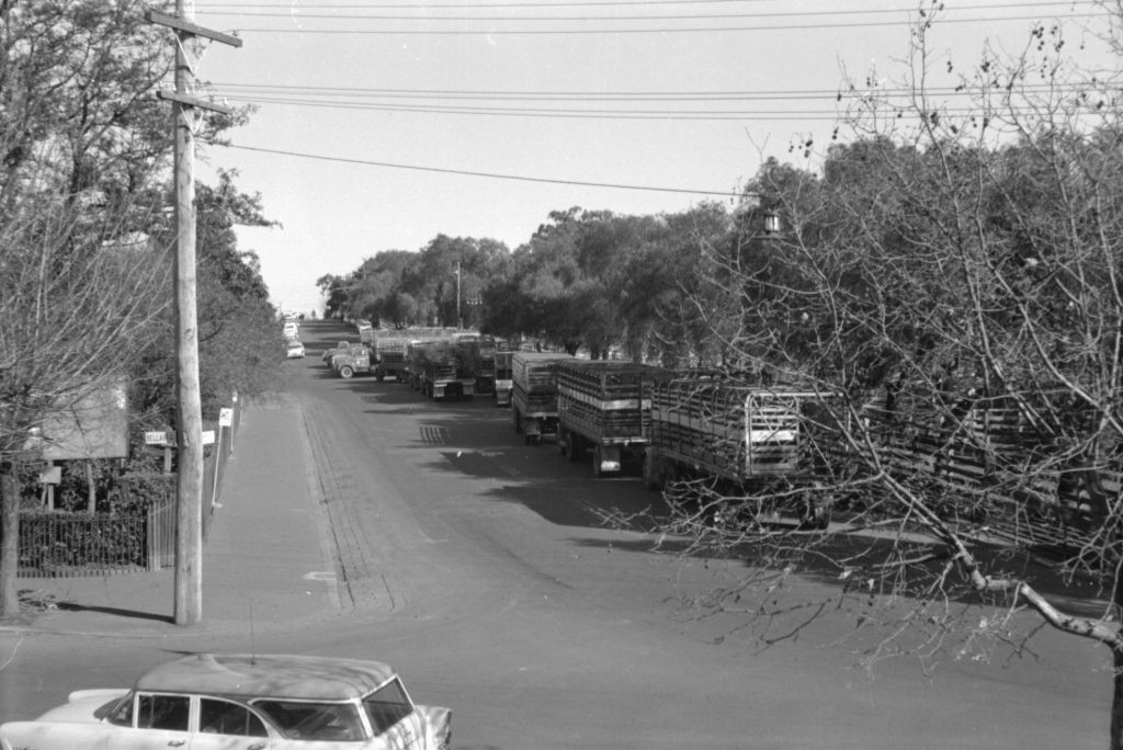 35A-65c Image showing cattle trucks near the corner of Bellair Street and Market Street