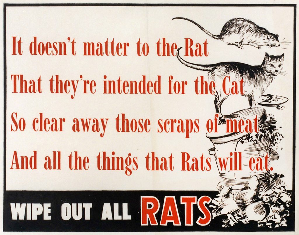 Wipe out all rats