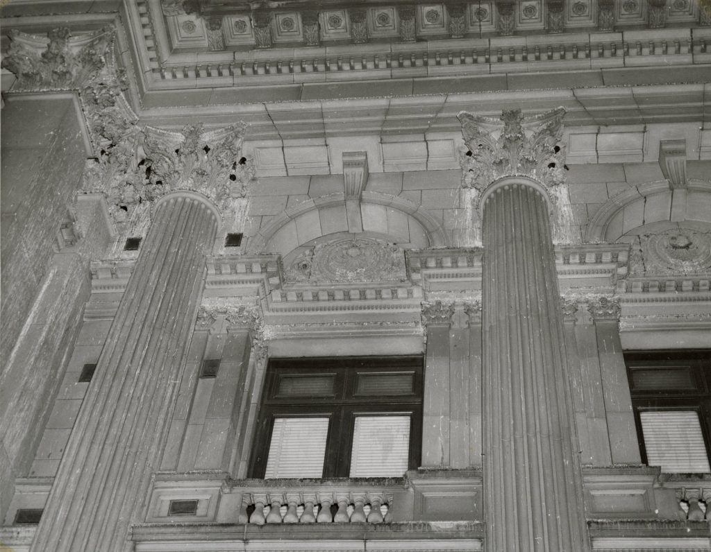 Image of birds roosting on Melbourne Town Hall