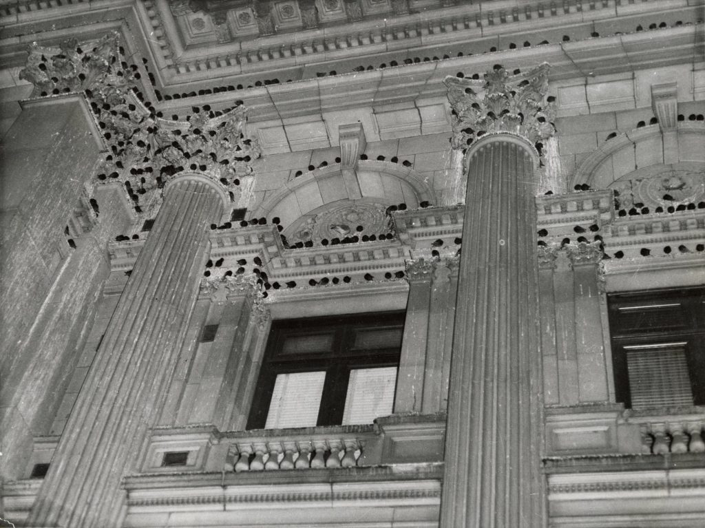 Image of birds roosting on Melbourne Town Hall