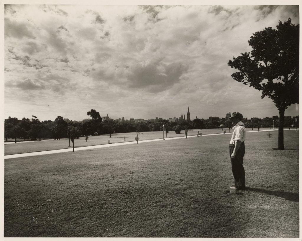 Image of Kings Domain, looking towards the city from the site of the King George V memorial