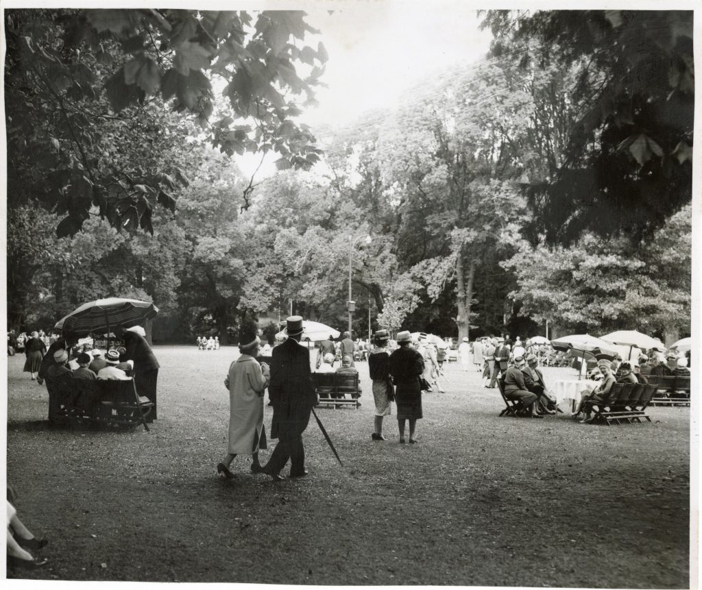 Image of a garden party