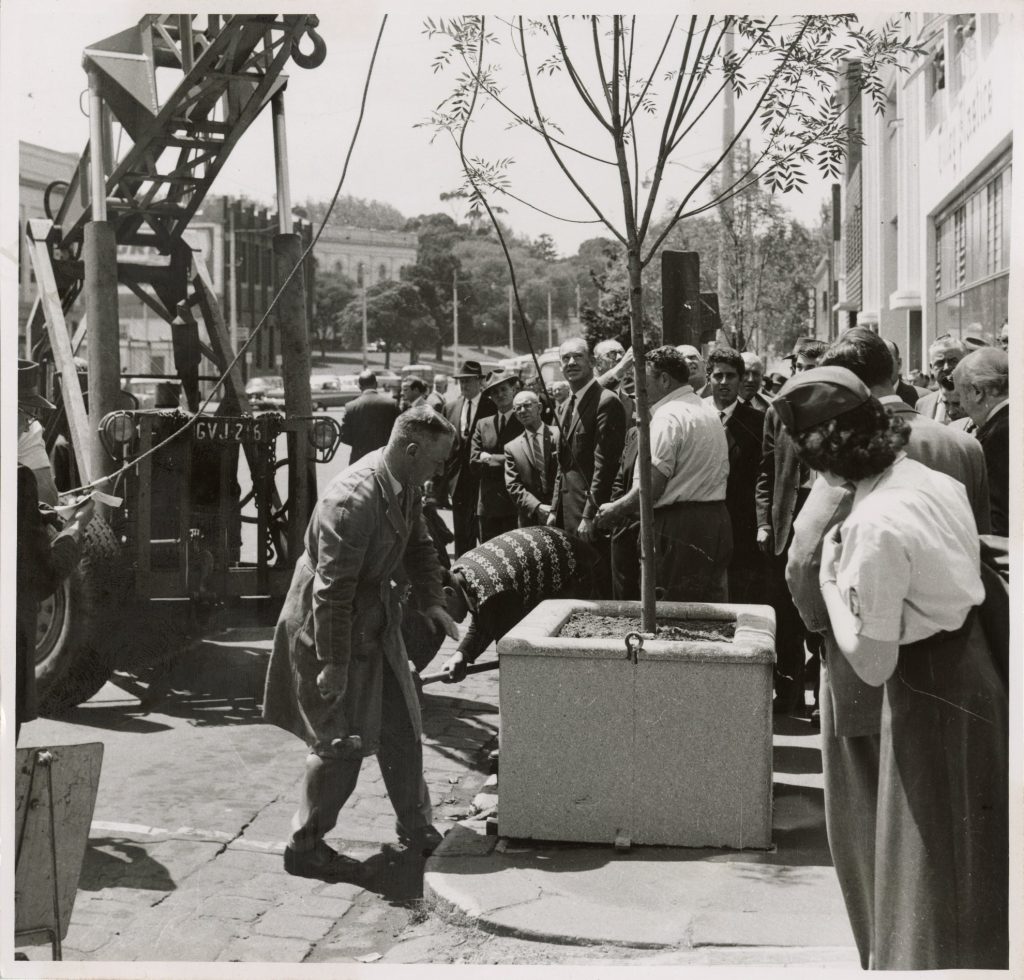 Image showing installation of a planter