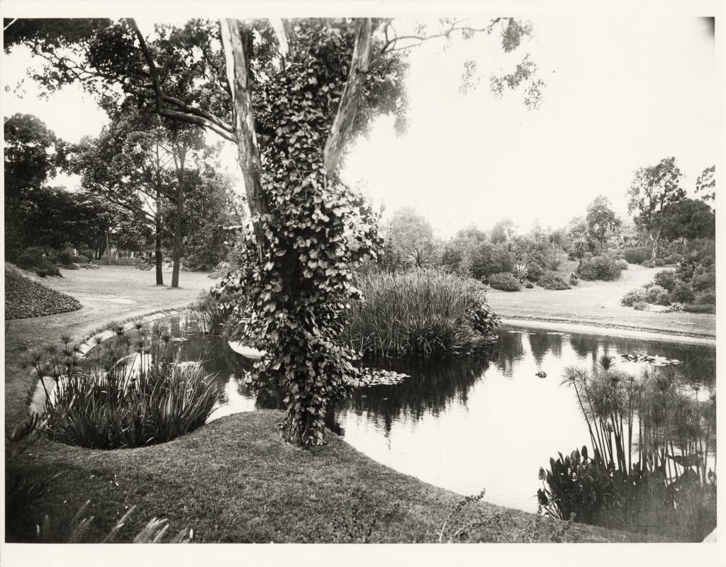 Image of a lake in Flagstaff Gardens