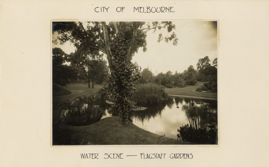 Image of a lake in Flagstaff Gardens