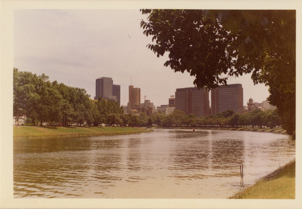 Image of trees along the Yarra River
