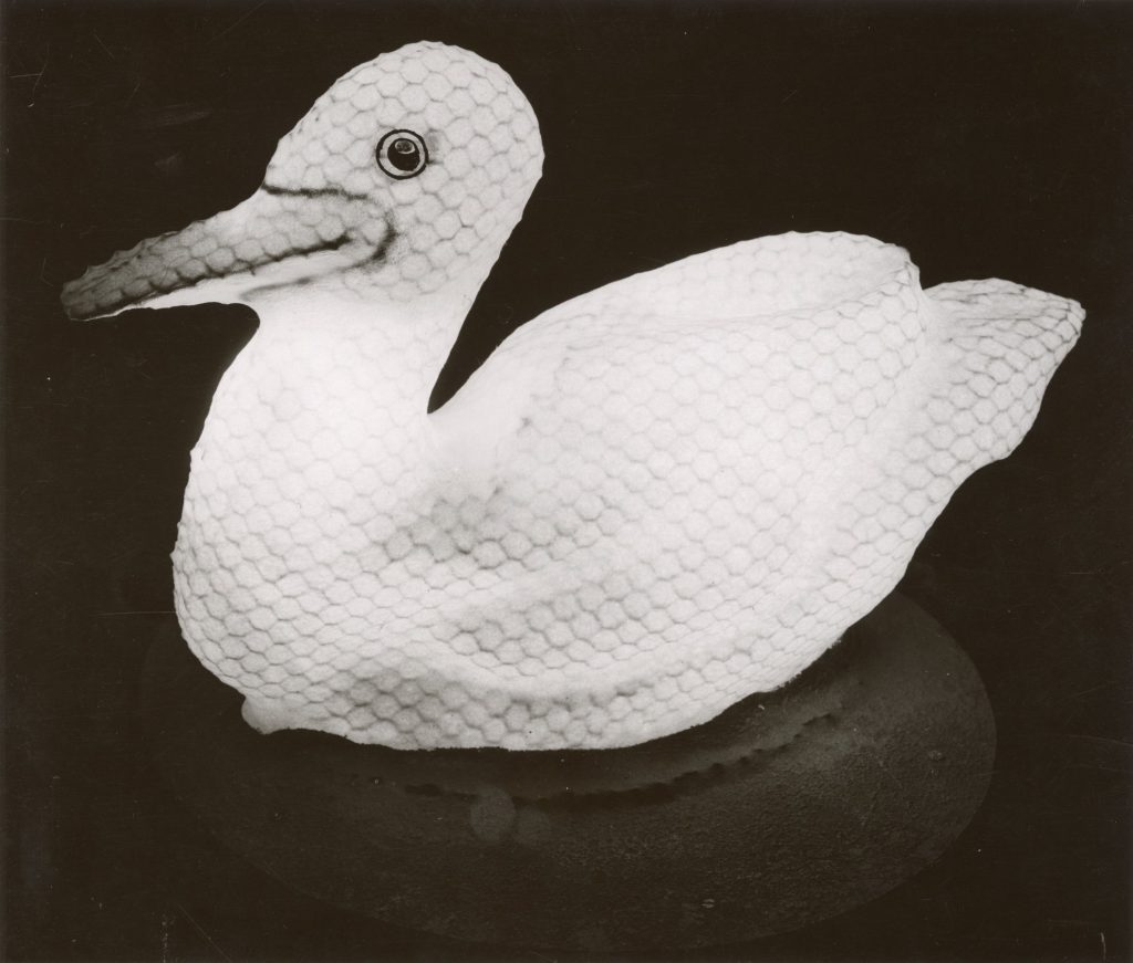 Image of a cygnet float