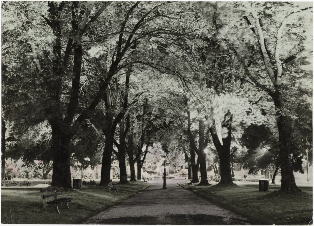 Image of a park in Melbourne, possibly Fitzroy Gardens