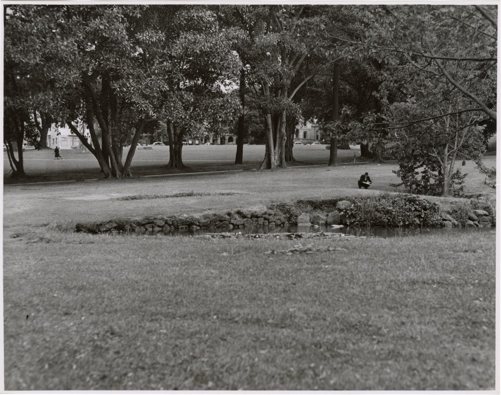 Image of a lake in Treasury Gardens