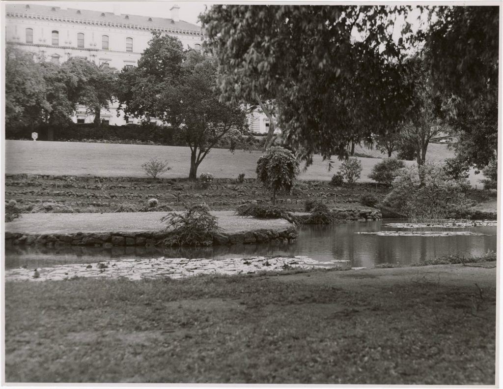 Image of a lake in Treasury Gardens