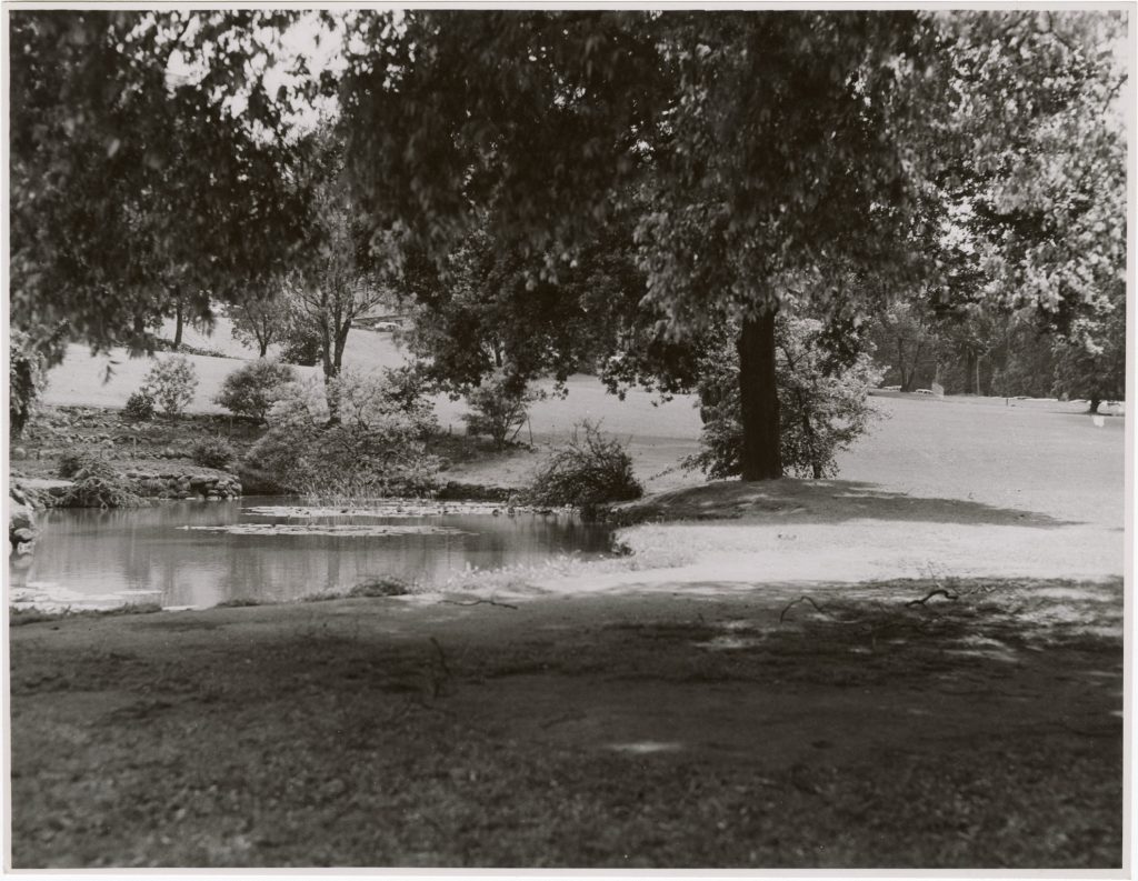 Image of a lake in Treasury Gardens