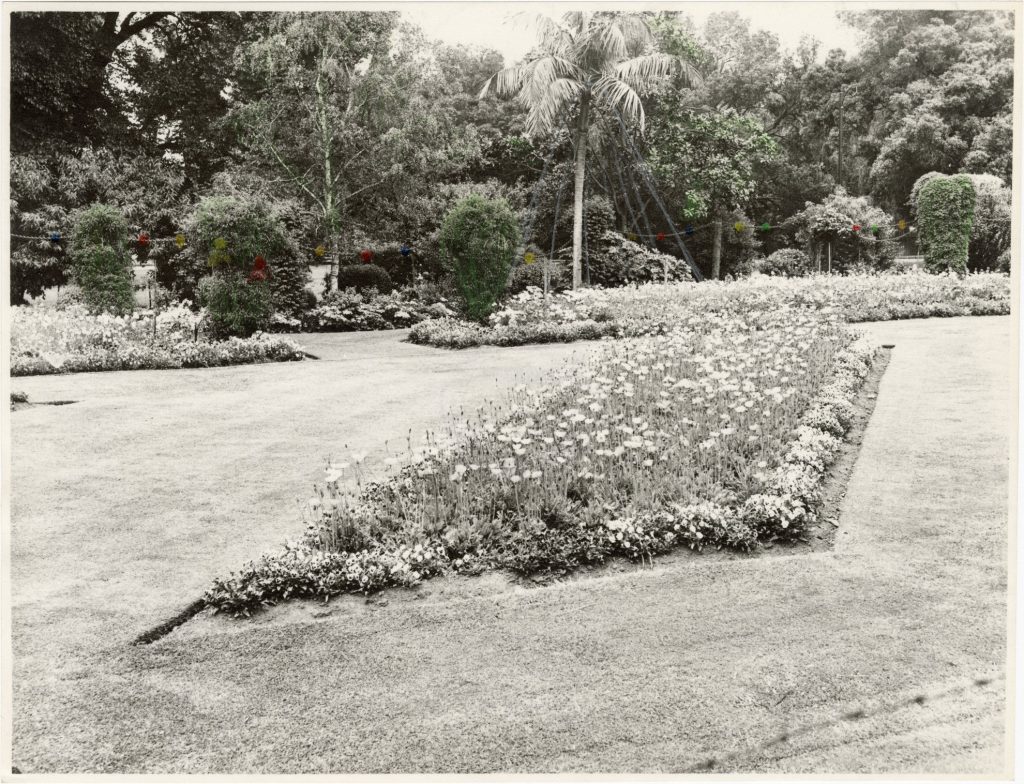 Image of Carlton Gardens