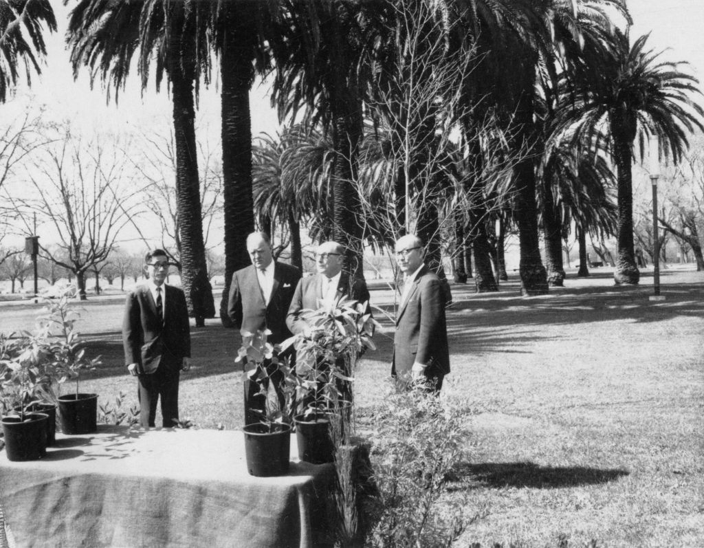 Tree planting ceremony, Alexandra Gardens