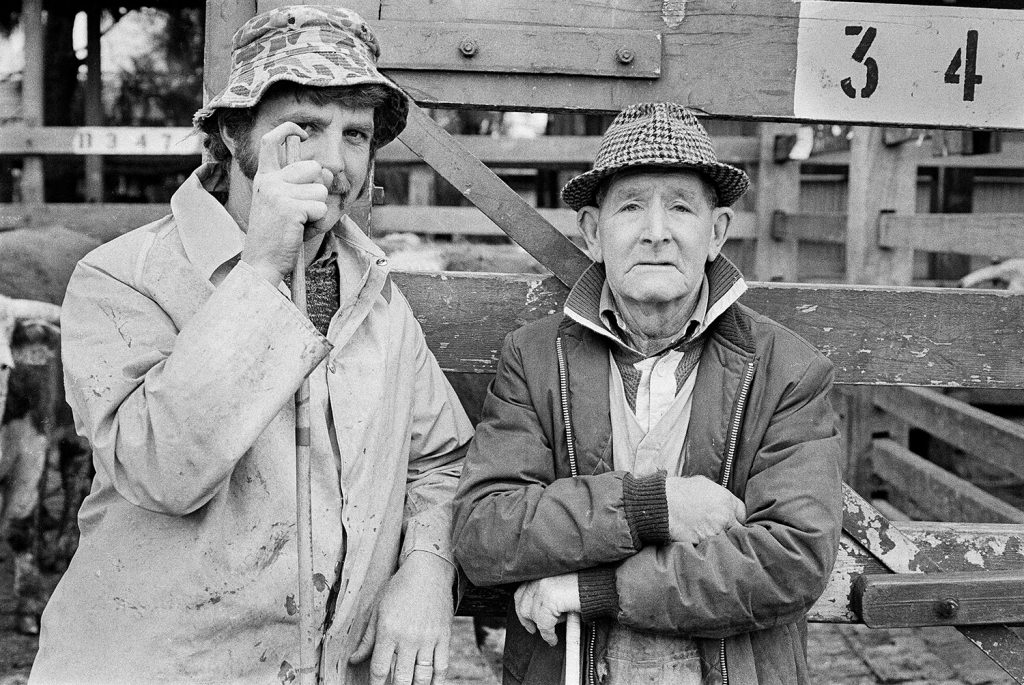 Newmarket Saleyards, Kensington