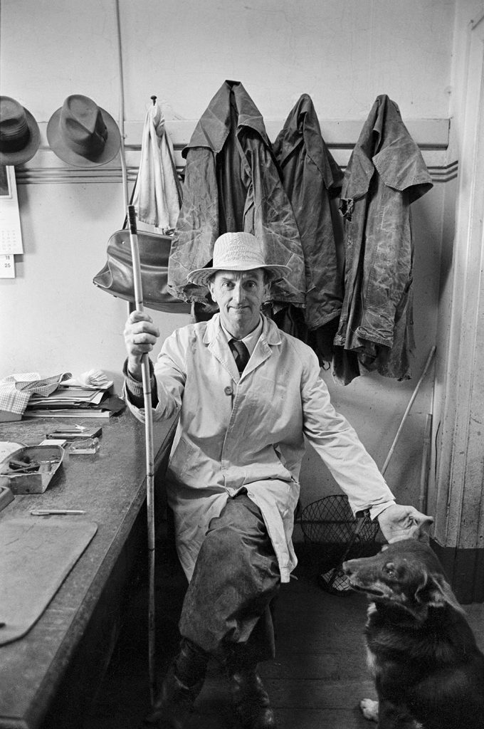 Newmarket Saleyards, Kensington