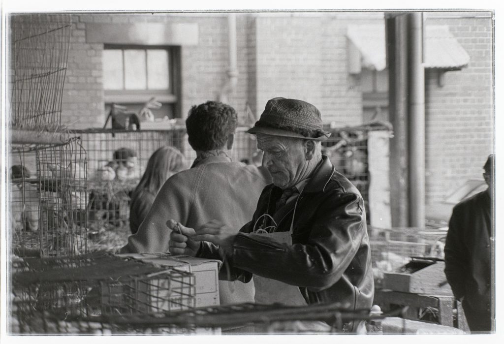 Birdman (Queen Victoria Market)